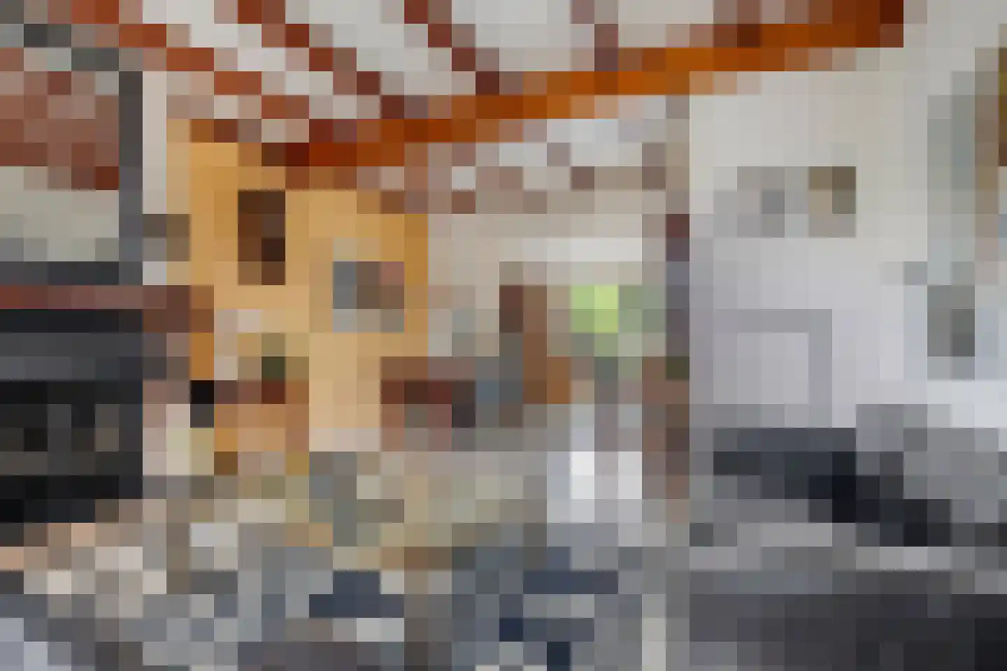 Bossestraat 115 Vogelwaarde thumbnail 13