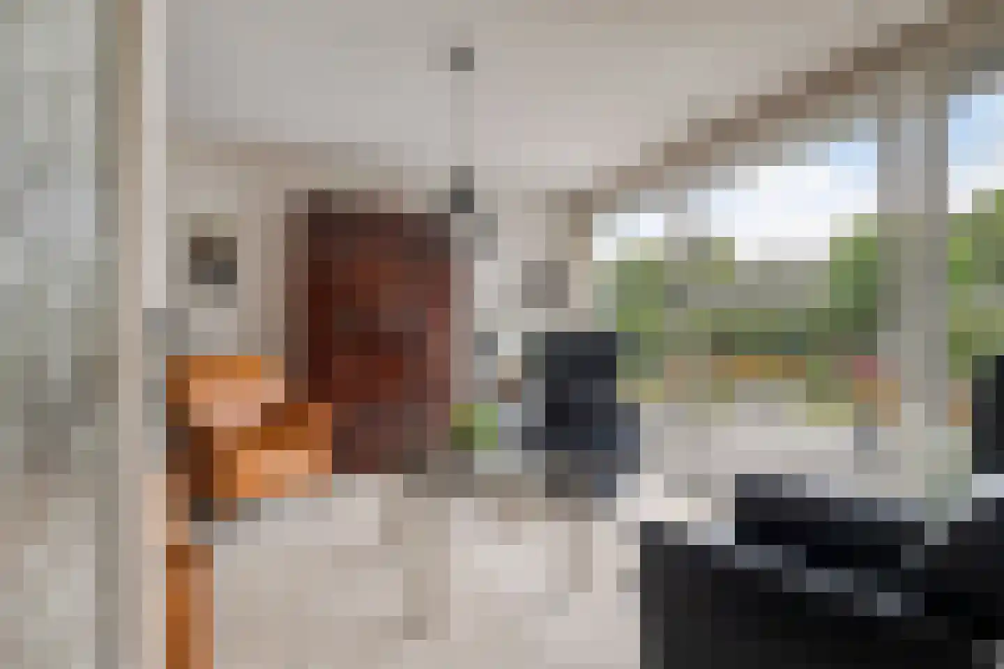 Bossestraat 115 Vogelwaarde thumbnail 18