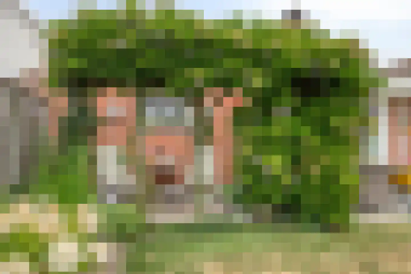 Bossestraat 115 Vogelwaarde thumbnail 36