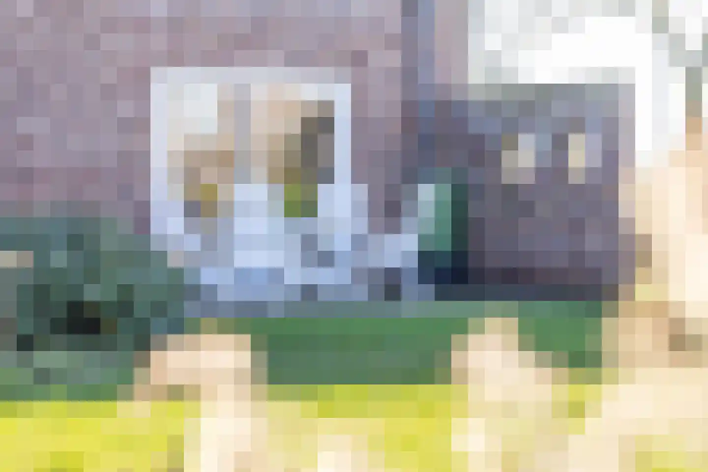 Bossestraat 126 a Vogelwaarde thumbnail 31
