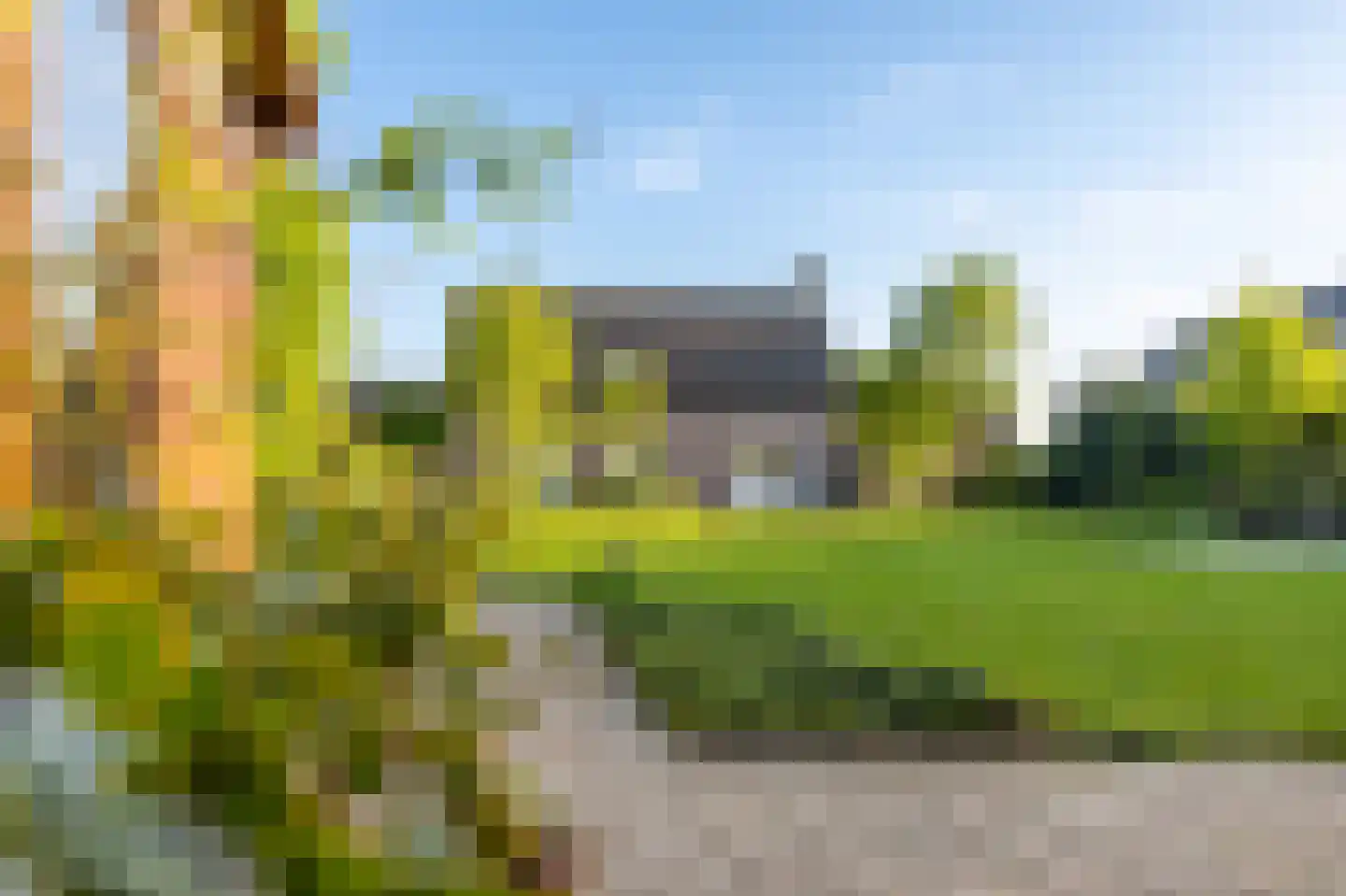 Bossestraat 126 a Vogelwaarde thumbnail 34