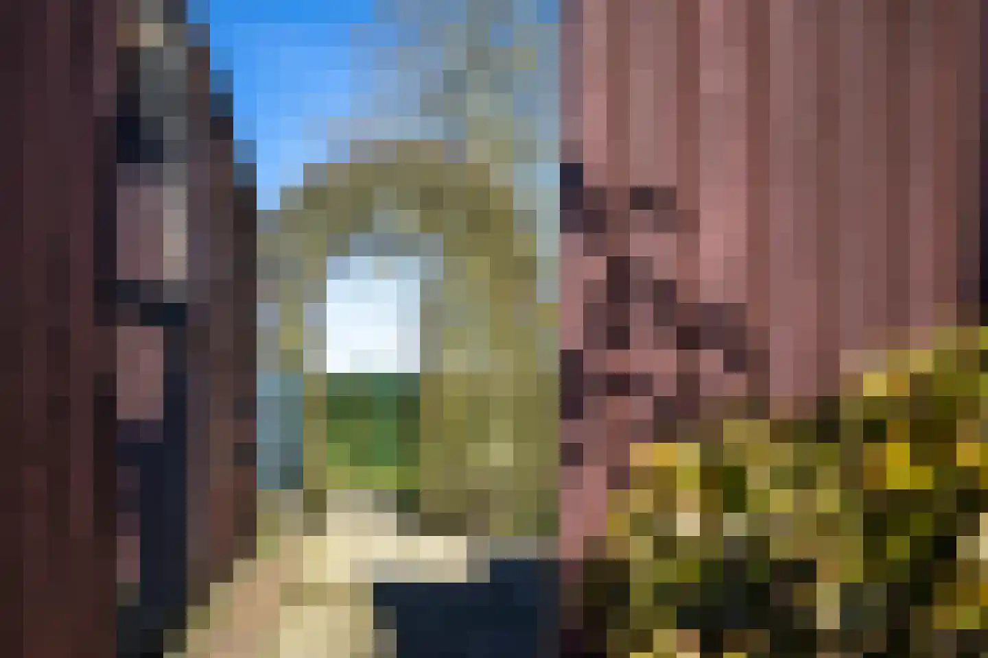 Bossestraat 126 a Vogelwaarde thumbnail 36