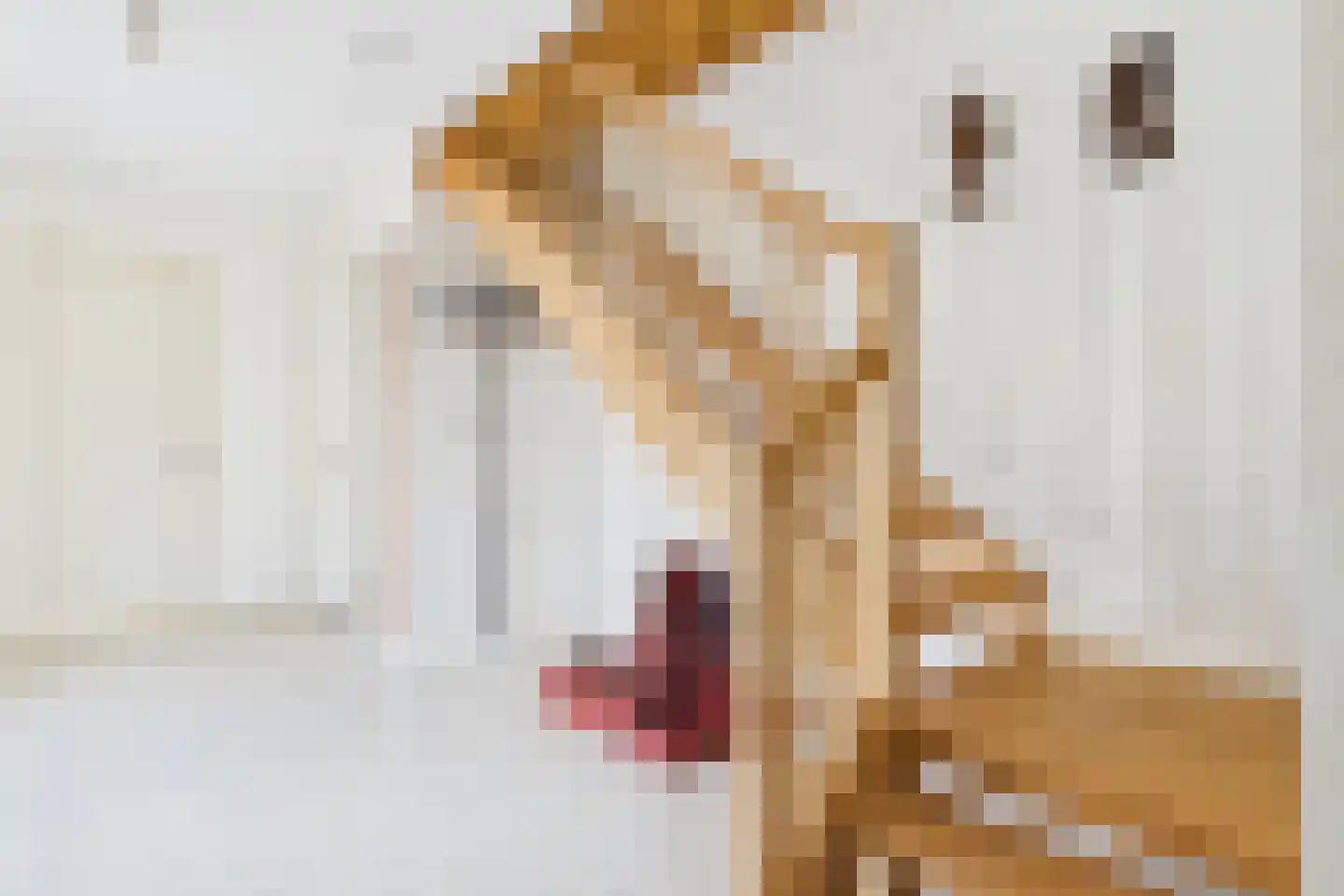 Bossestraat 147 Vogelwaarde thumbnail 10