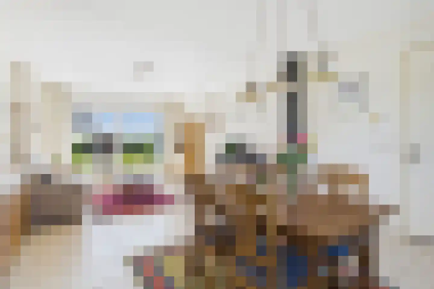 Bossestraat 147 Vogelwaarde thumbnail 12