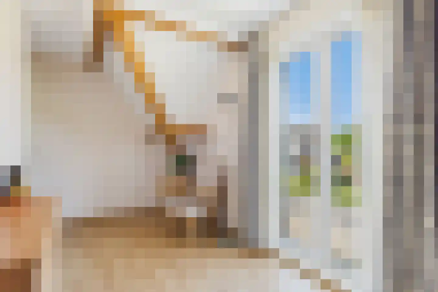 Bossestraat 147 Vogelwaarde thumbnail 32
