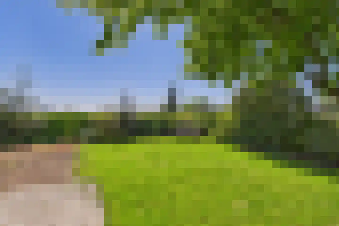 Bossestraat 147 Vogelwaarde thumbnail 50