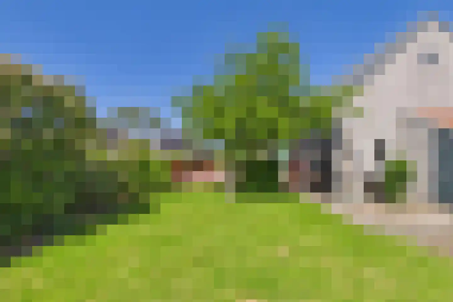 Bossestraat 147 Vogelwaarde thumbnail 51