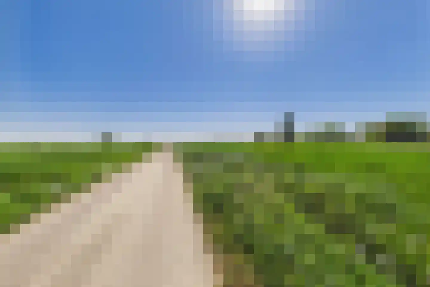 Bossestraat 147 Vogelwaarde thumbnail 54