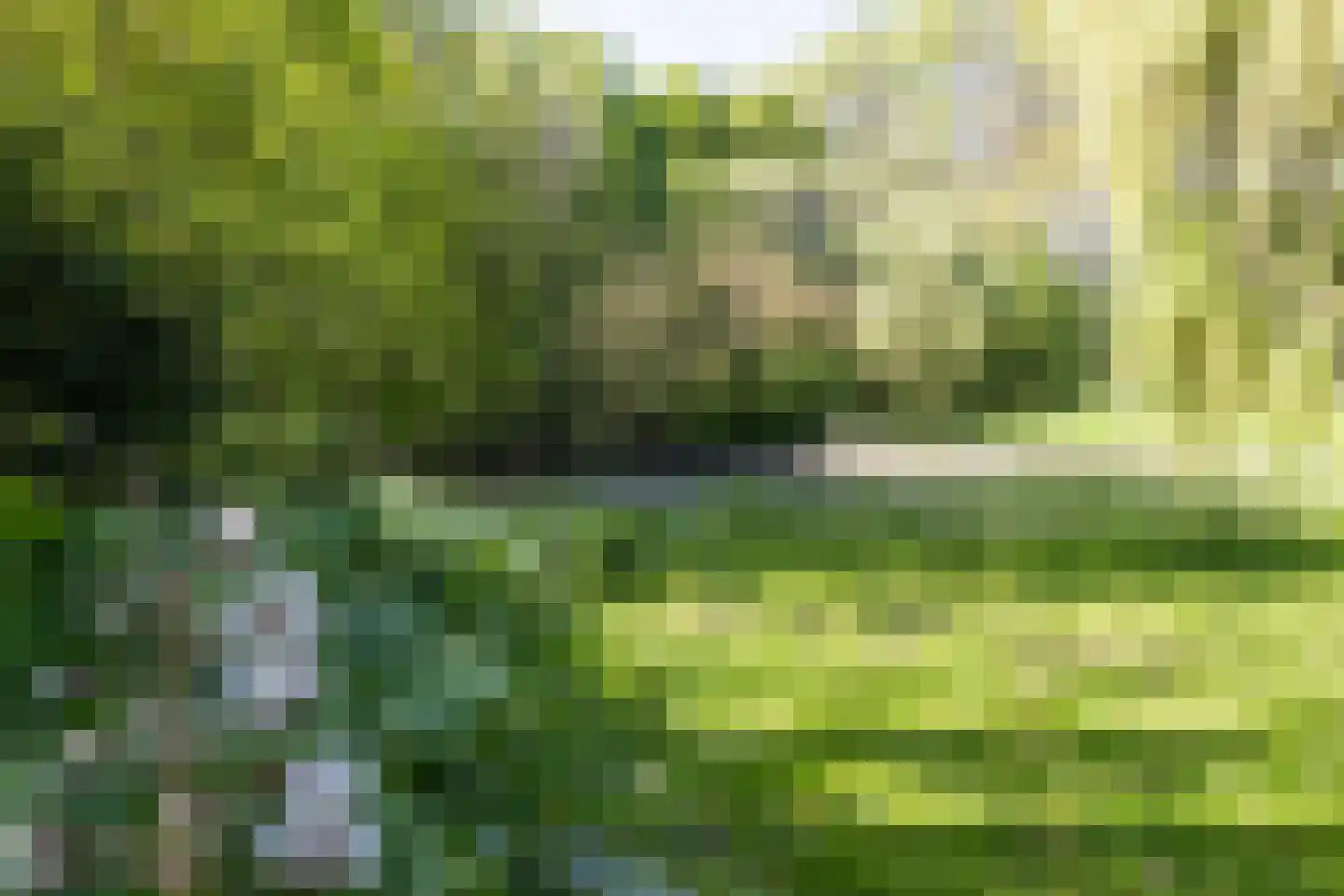 Bossestraat 34 a Vogelwaarde thumbnail 31