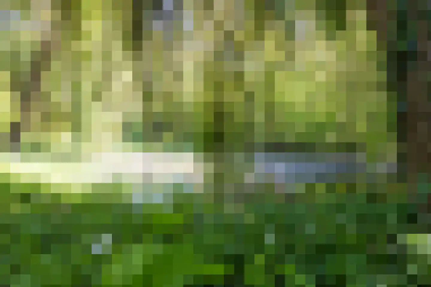 Bossestraat 34 a Vogelwaarde thumbnail 32