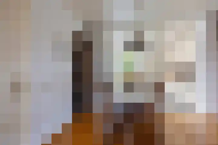 Bossestraat 42 Schaijk thumbnail 10