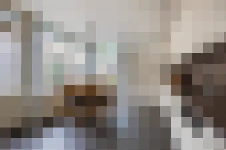 Bossestraat 42 Schaijk thumbnail 11