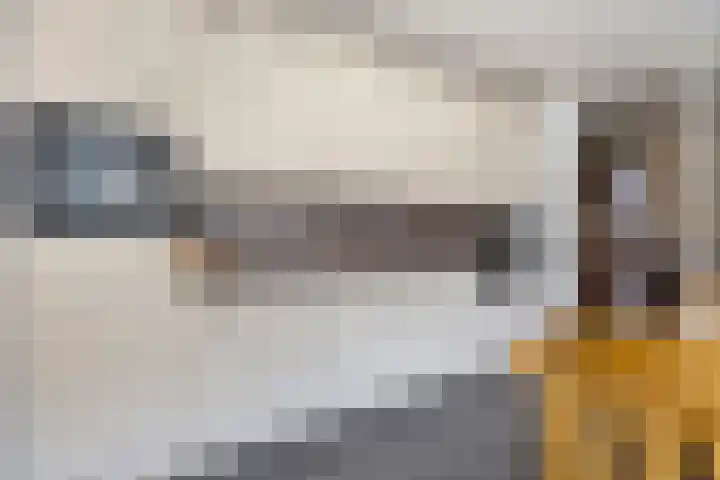 Bossestraat 42 Schaijk thumbnail 12