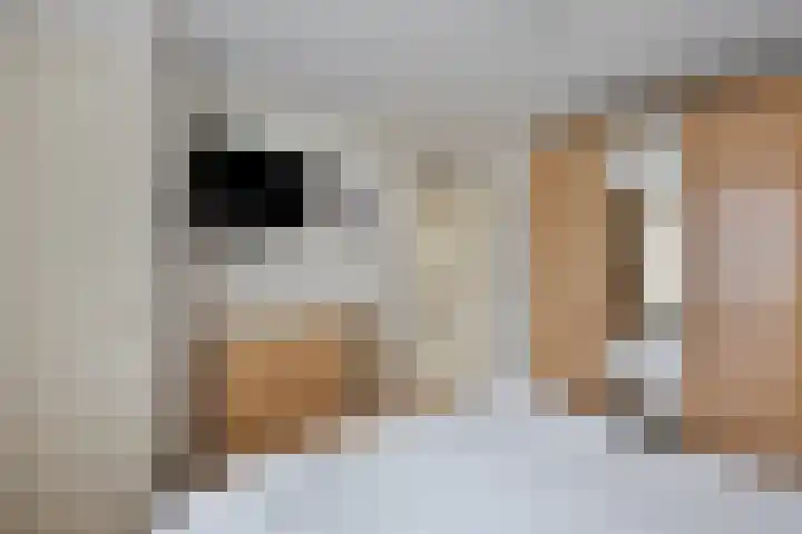 Bossestraat 42 Schaijk thumbnail 20
