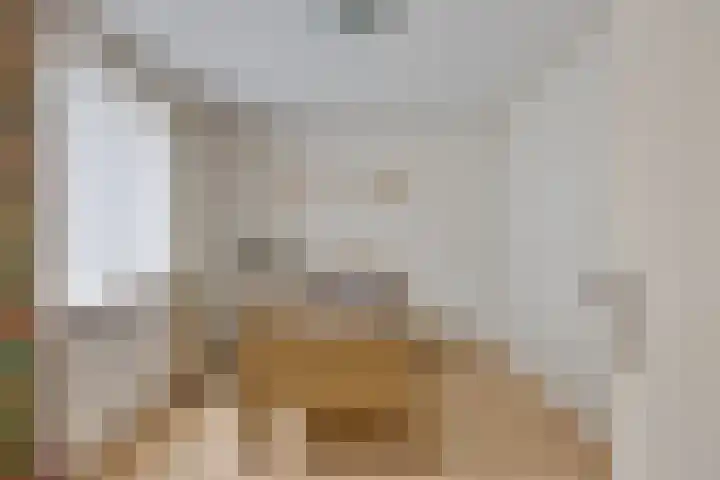 Bossestraat 42 Schaijk thumbnail 21