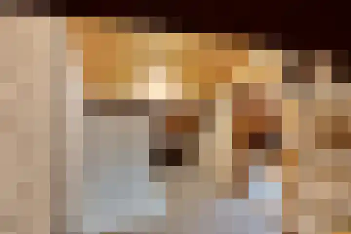 Bossestraat 42 Schaijk thumbnail 26