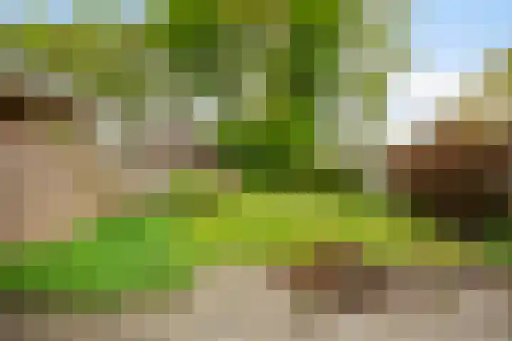 Bossestraat 42 Schaijk thumbnail 32