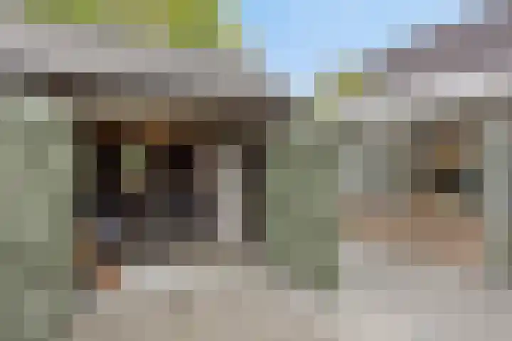 Bossestraat 42 Schaijk thumbnail 35
