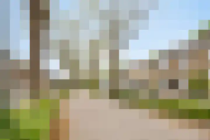 Bossestraat 42 Schaijk thumbnail 38