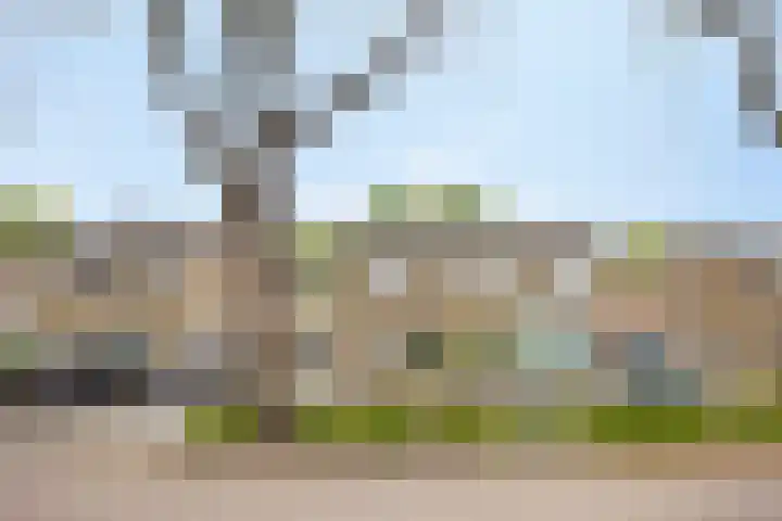 Bossestraat 42 Schaijk thumbnail 4