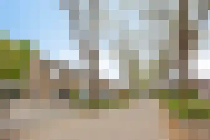 Bossestraat 42 Schaijk thumbnail 53