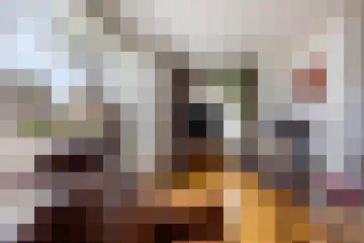 Bossestraat 42 Schaijk thumbnail 7