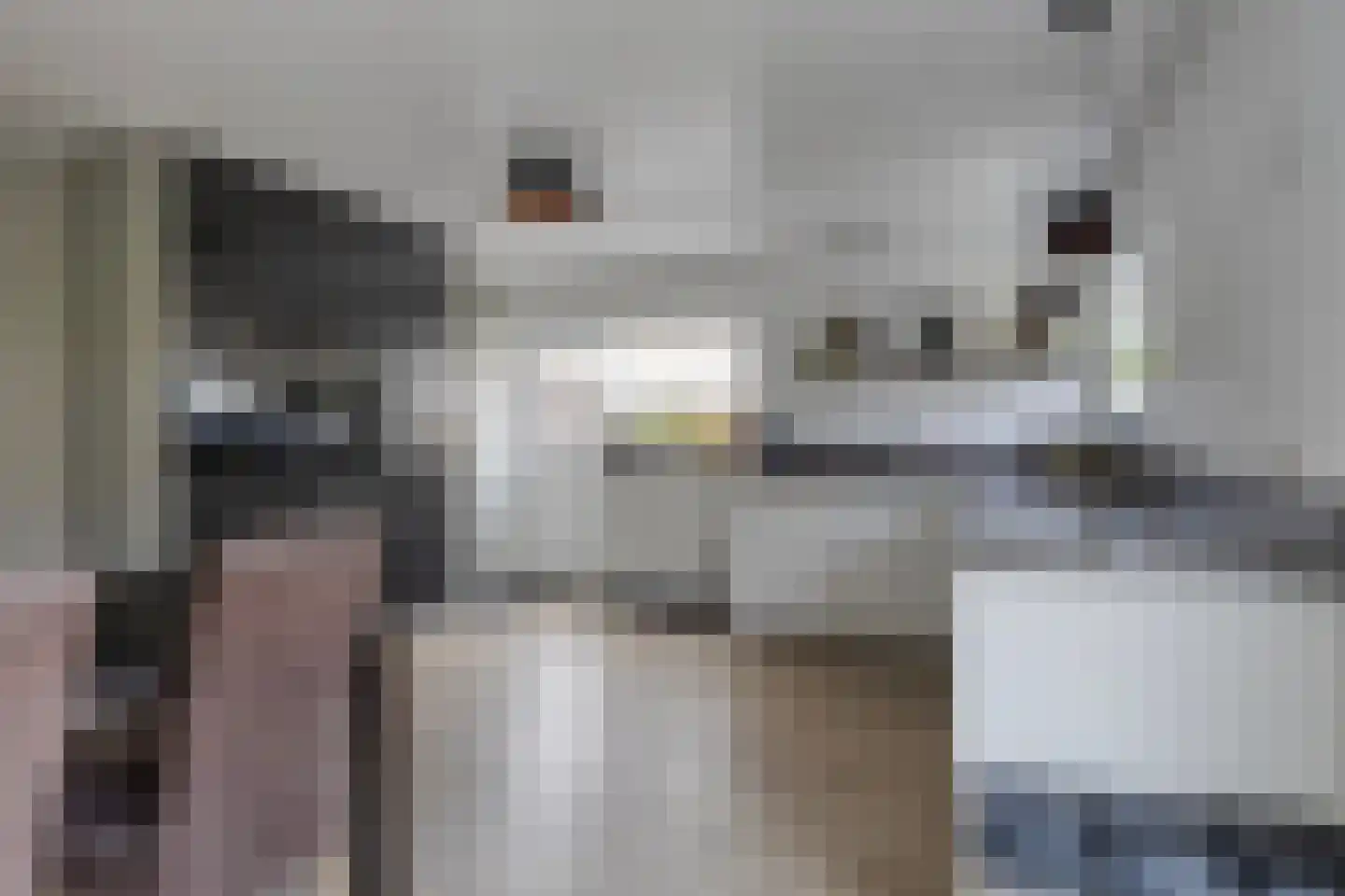 Bossestraat 48 Vogelwaarde thumbnail 15