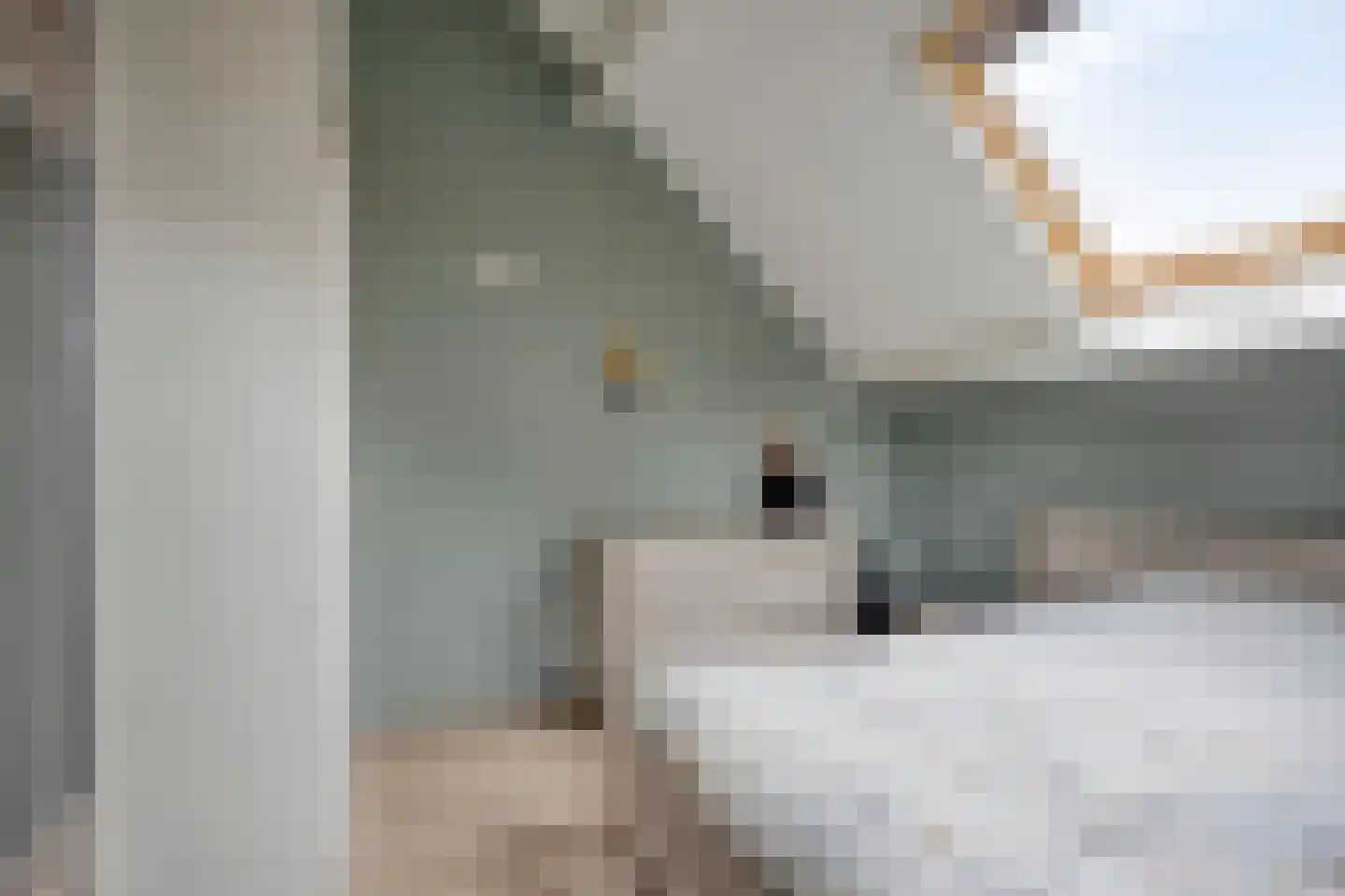 Bossestraat 48 Vogelwaarde thumbnail 21