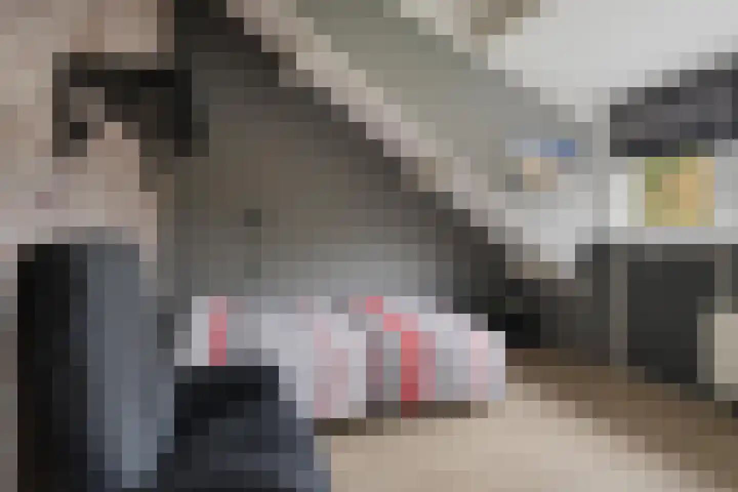 Bossestraat 48 Vogelwaarde thumbnail 24