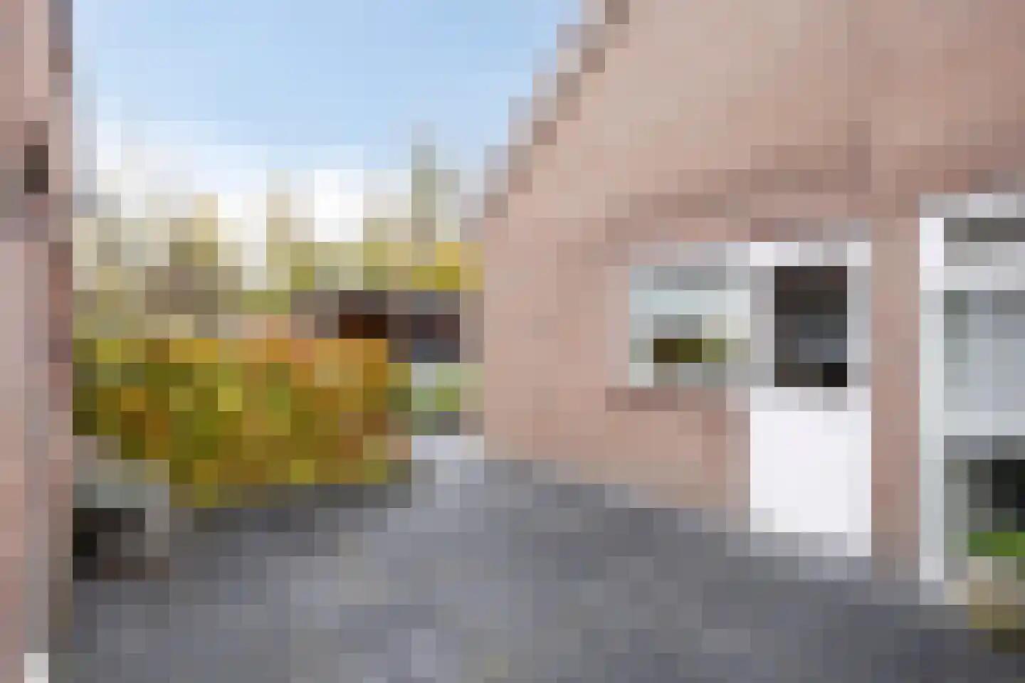 Bossestraat 48 Vogelwaarde thumbnail 34