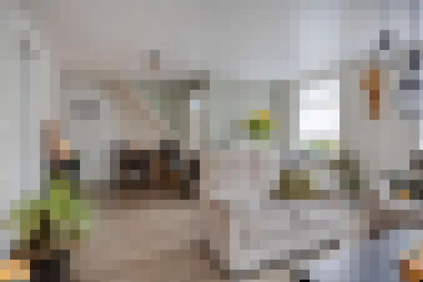 Bossestraat 48 Vogelwaarde thumbnail 7