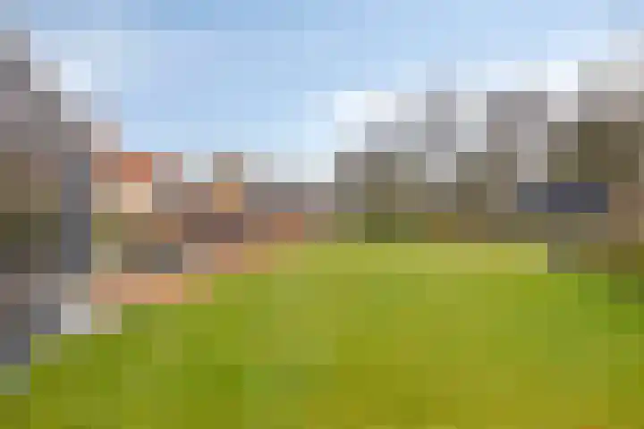 Bossestraat 49 a Vogelwaarde thumbnail 34