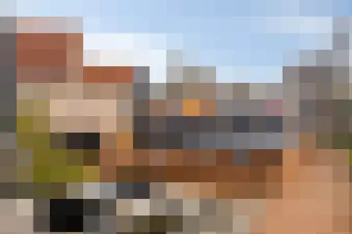Bossestraat 49 a Vogelwaarde thumbnail 38