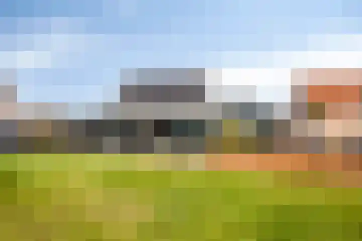 Bossestraat 49 a Vogelwaarde thumbnail 41