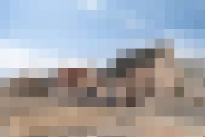 Bossestraat 49 a Vogelwaarde thumbnail 6