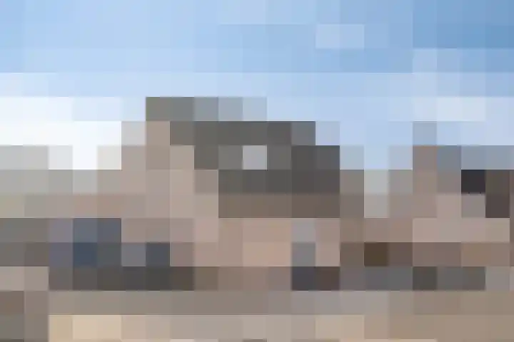 Bossestraat 49 a Vogelwaarde thumbnail 8