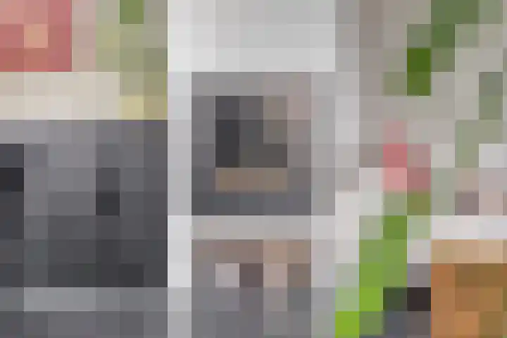 Bossestraat 49 Schaijk thumbnail 10