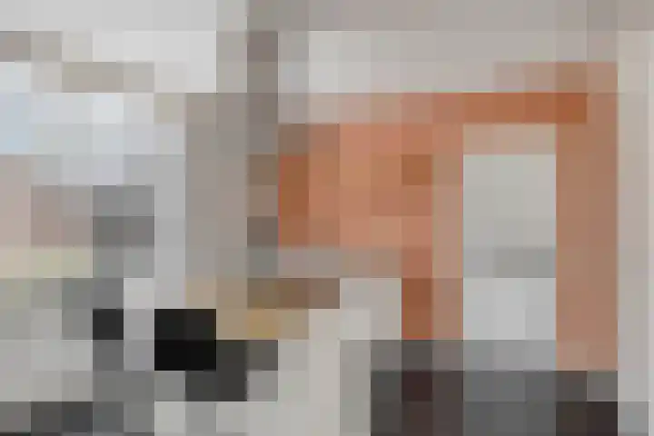 Bossestraat 49 Schaijk thumbnail 15