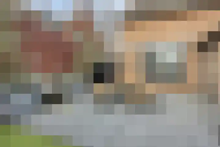Bossestraat 49 Schaijk thumbnail 26