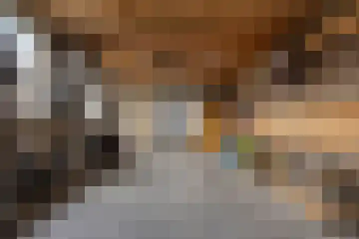 Bossestraat 49 Schaijk thumbnail 33