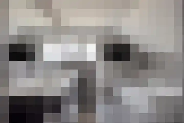 Bossestraat 49 Schaijk thumbnail 4