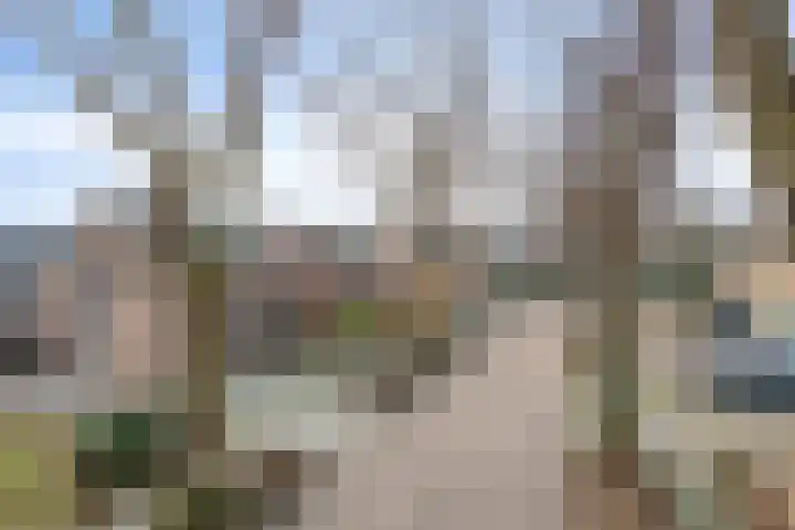 Bossestraat 49 Schaijk thumbnail 50