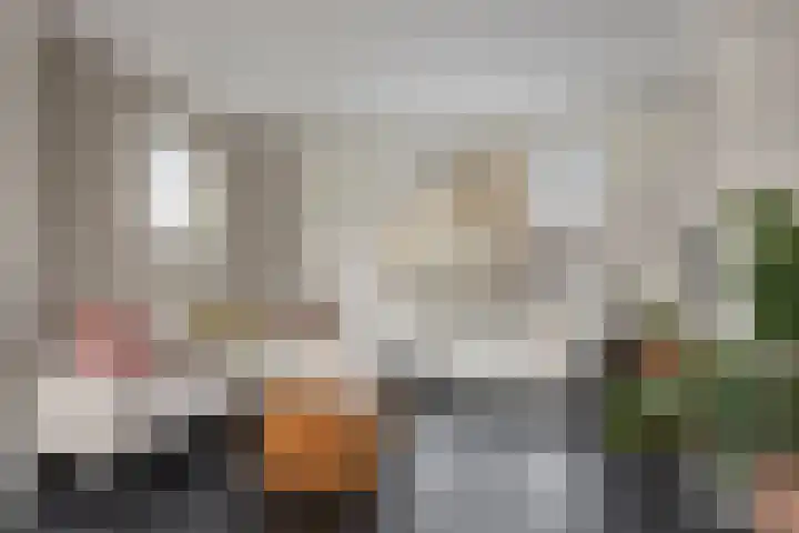 Bossestraat 49 Schaijk thumbnail 7