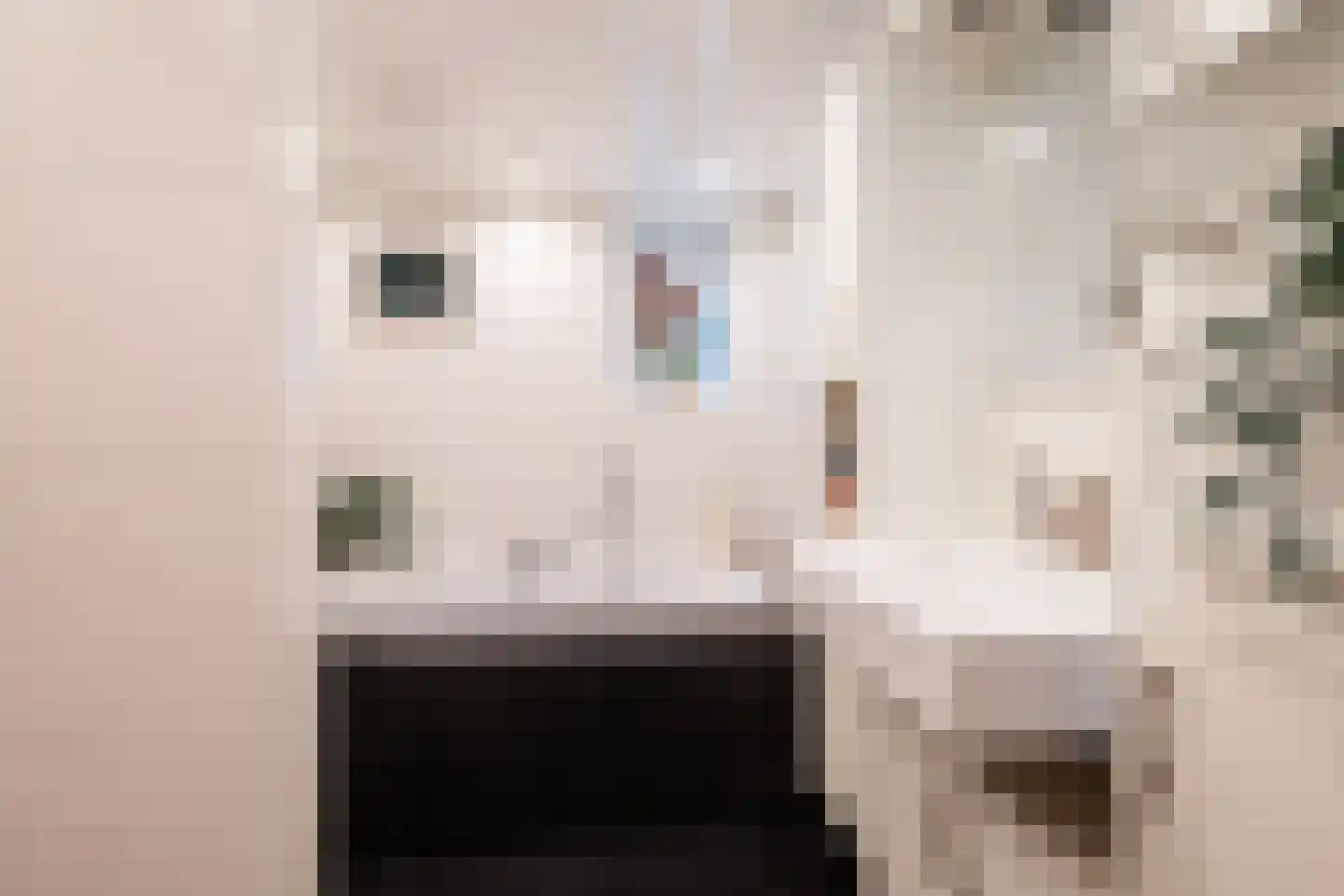 Bossestraat 6 a Vogelwaarde thumbnail 14