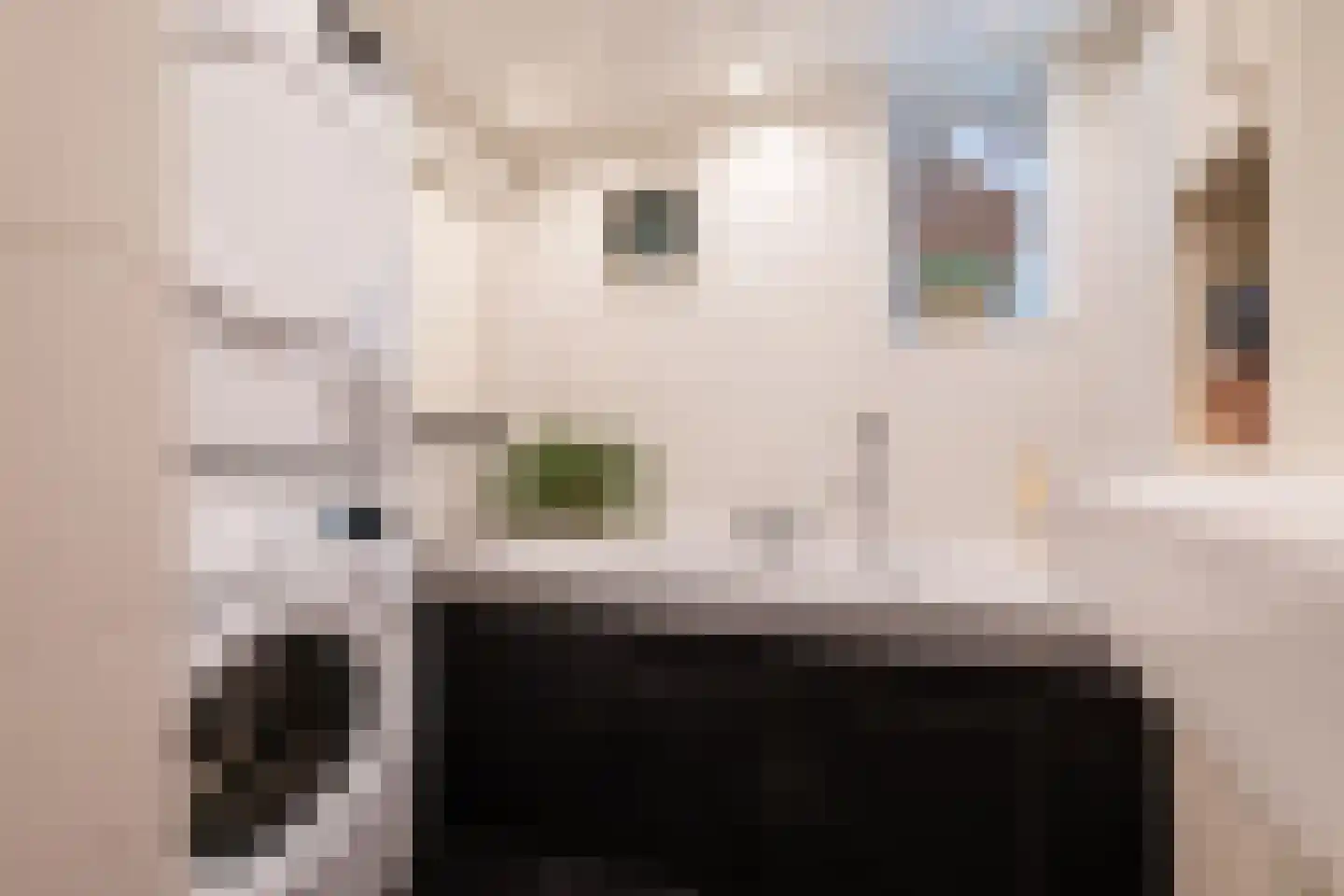 Bossestraat 6 a Vogelwaarde thumbnail 15
