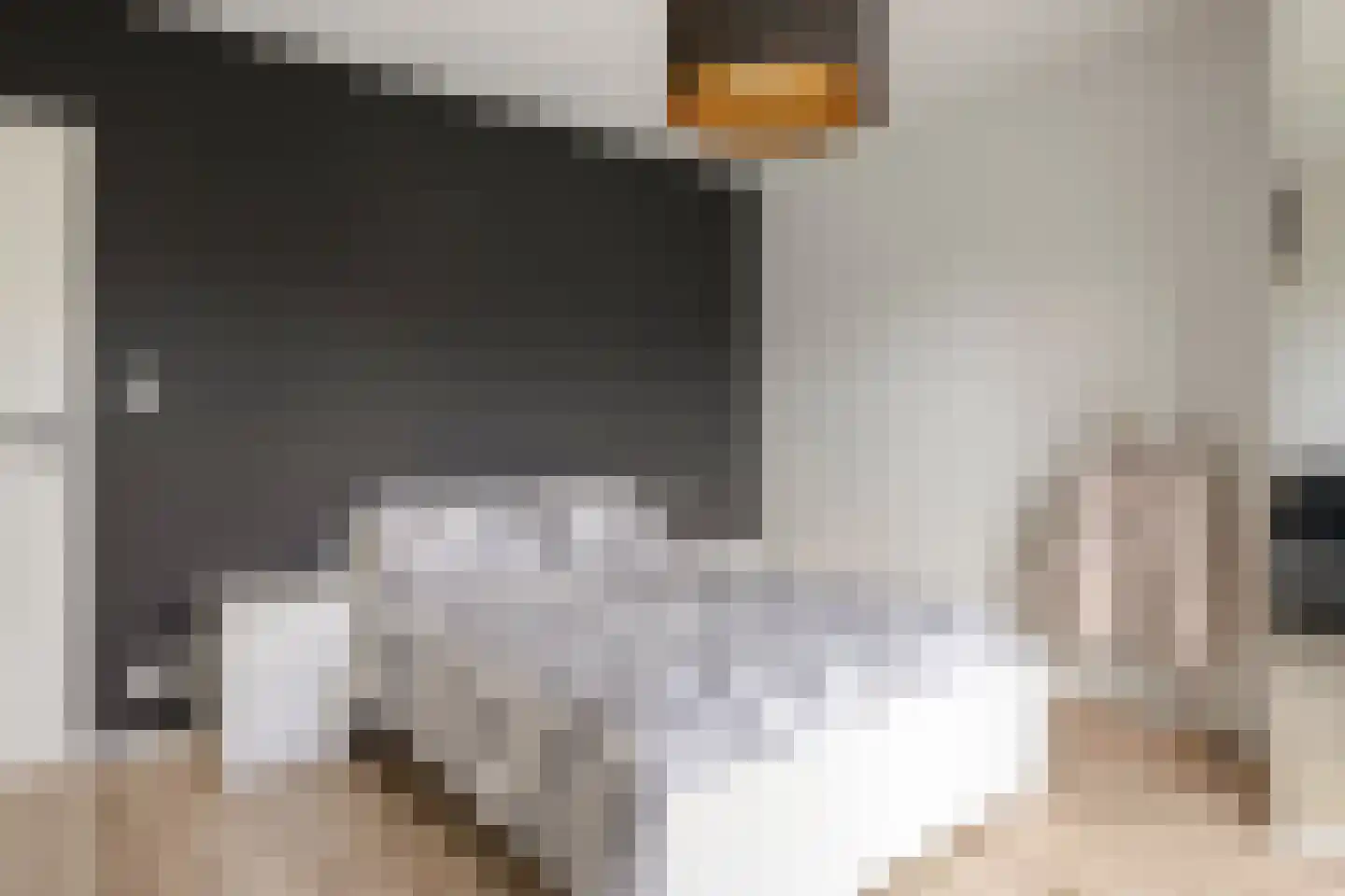 Bossestraat 6 Vogelwaarde thumbnail 11