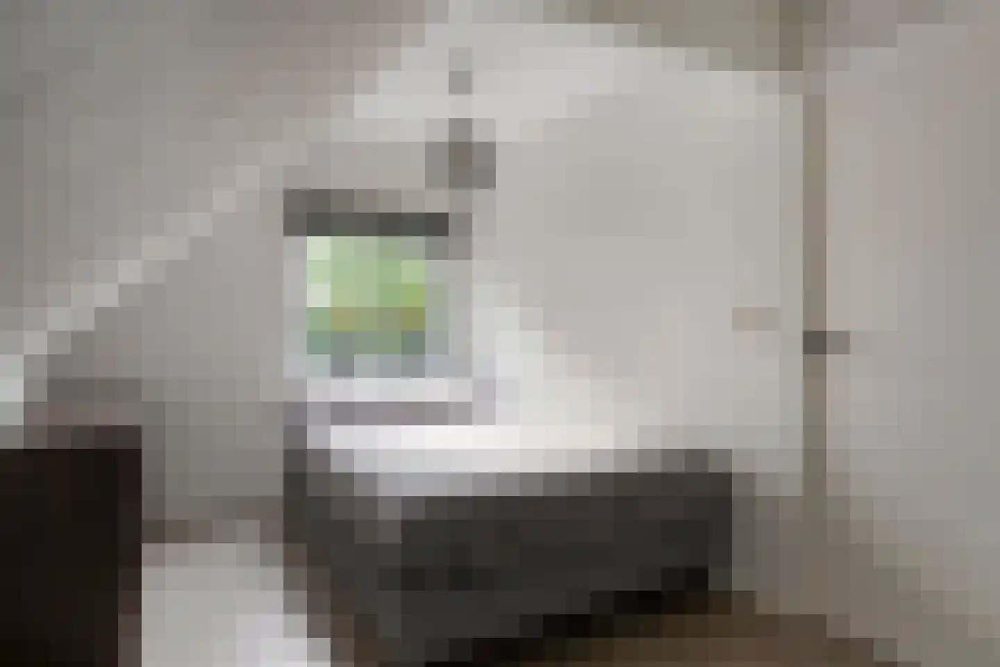Bossestraat 6 Vogelwaarde thumbnail 15