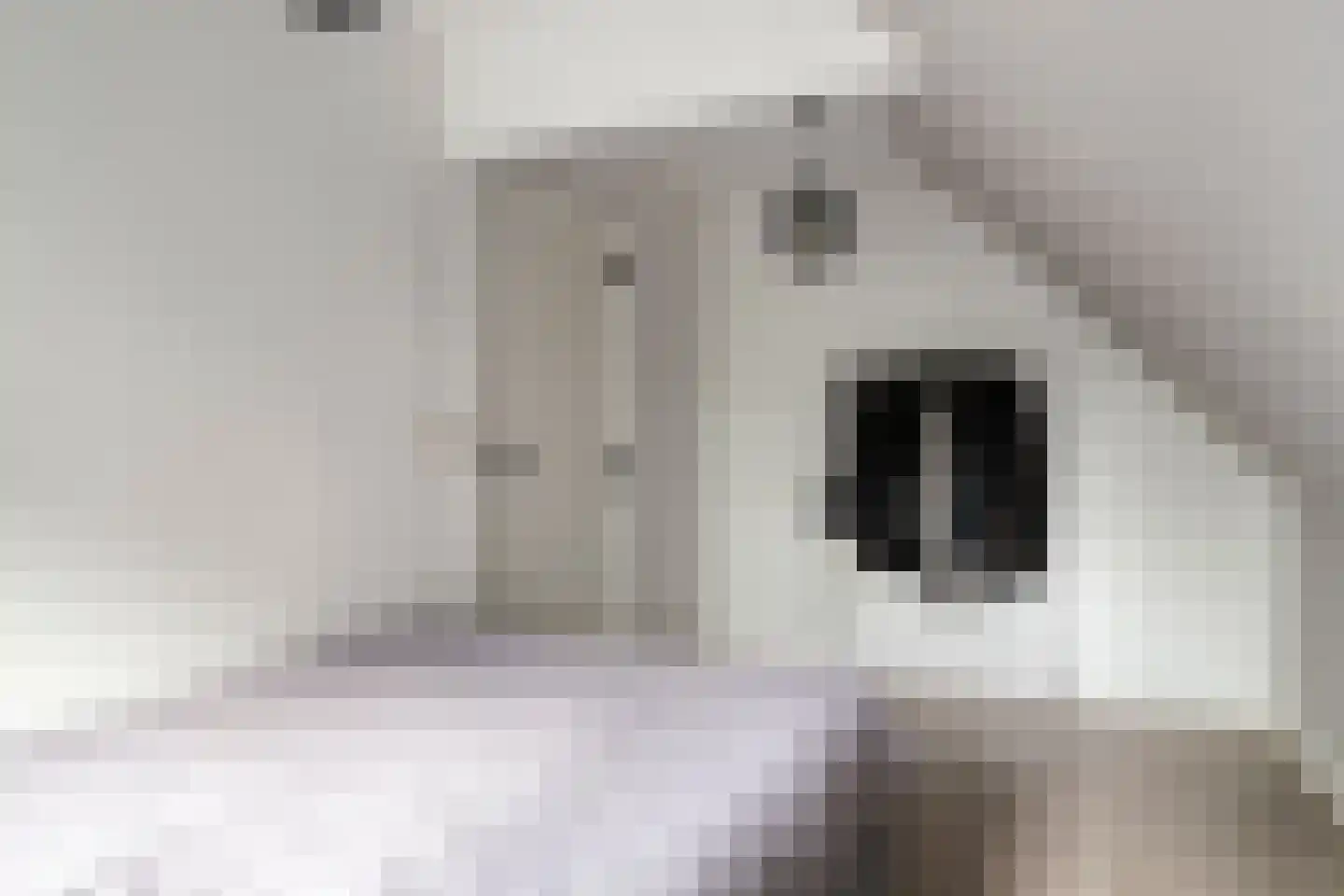 Bossestraat 6 Vogelwaarde thumbnail 16