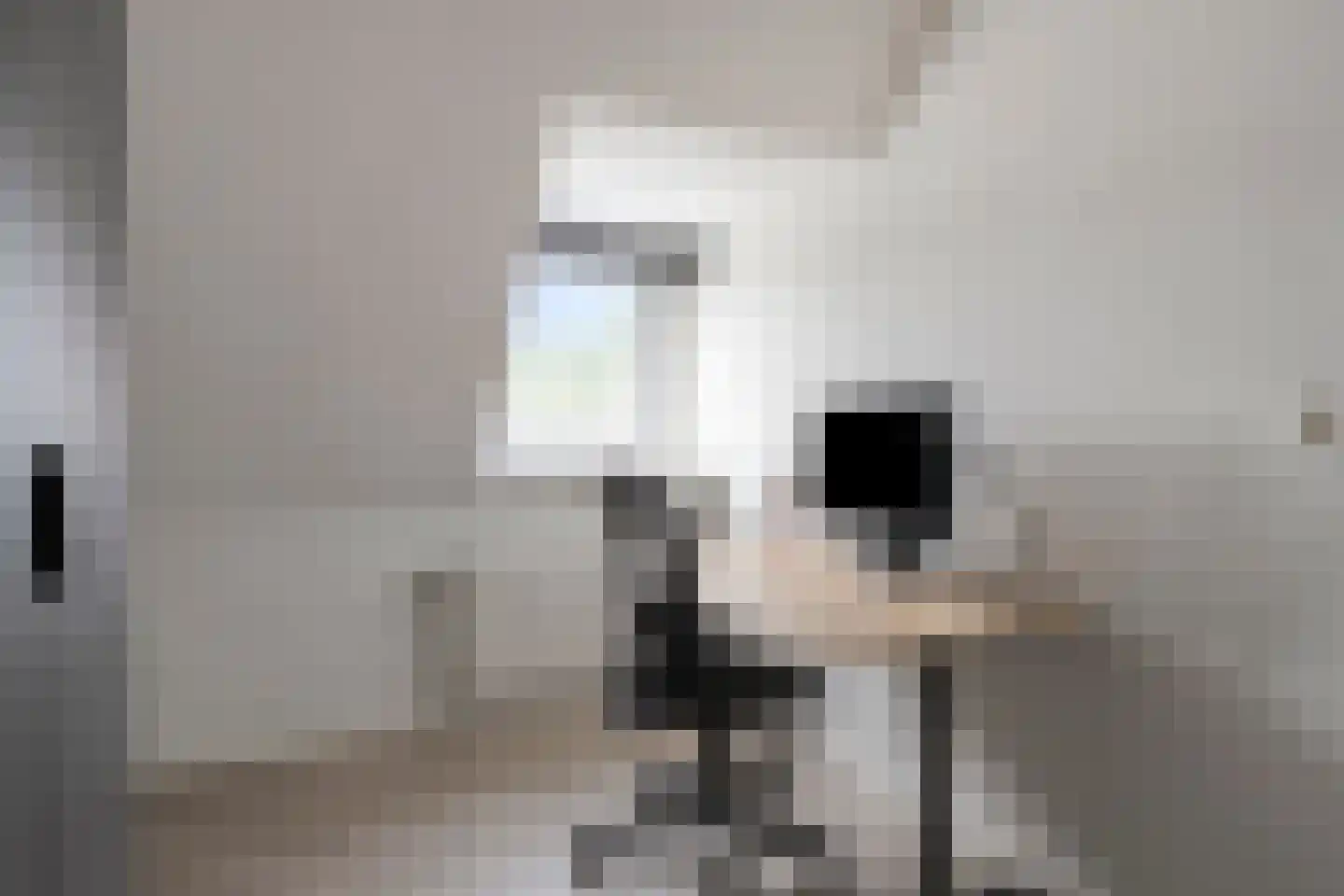 Bossestraat 6 Vogelwaarde thumbnail 18