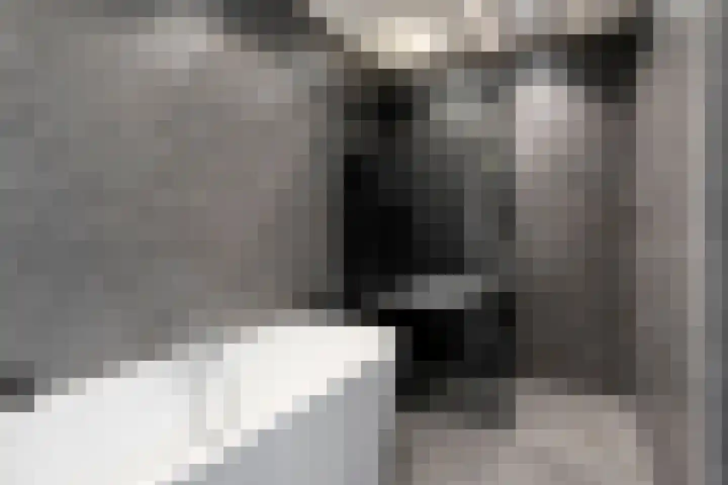 Bossestraat 6 Vogelwaarde thumbnail 4